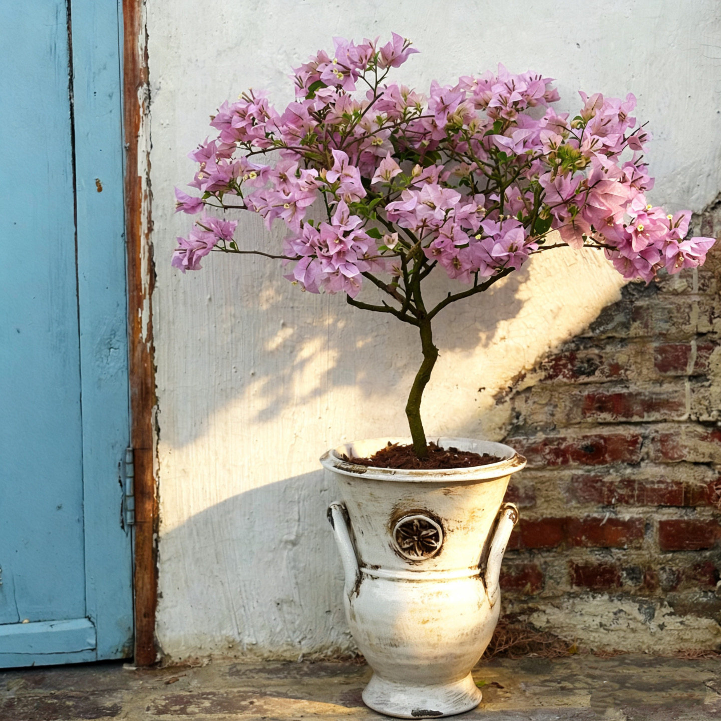 小花农-手拉粗陶红陶奖杯花盆雪花奖杯大号三角梅 月季绣球花盆