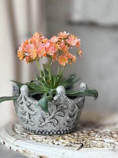 小花农 水泥皇冠花盆 15*10 内口12