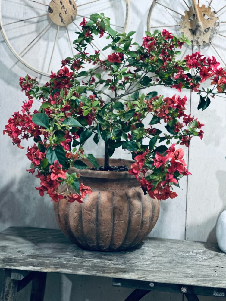 手压红陶做旧南瓜花盆 透气透水 庭院花园露台月季绣球三角梅花盆