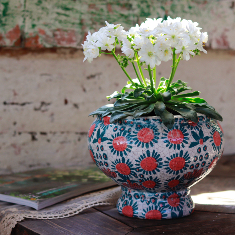 手工红陶粗陶冰裂釉面 蝴蝶兰 梦香兰 国兰花盆