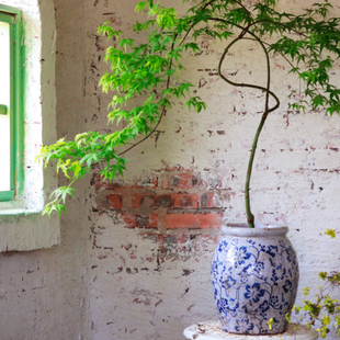 出口手工红陶粗陶青花罐子花盆 枫树三角梅 花盆