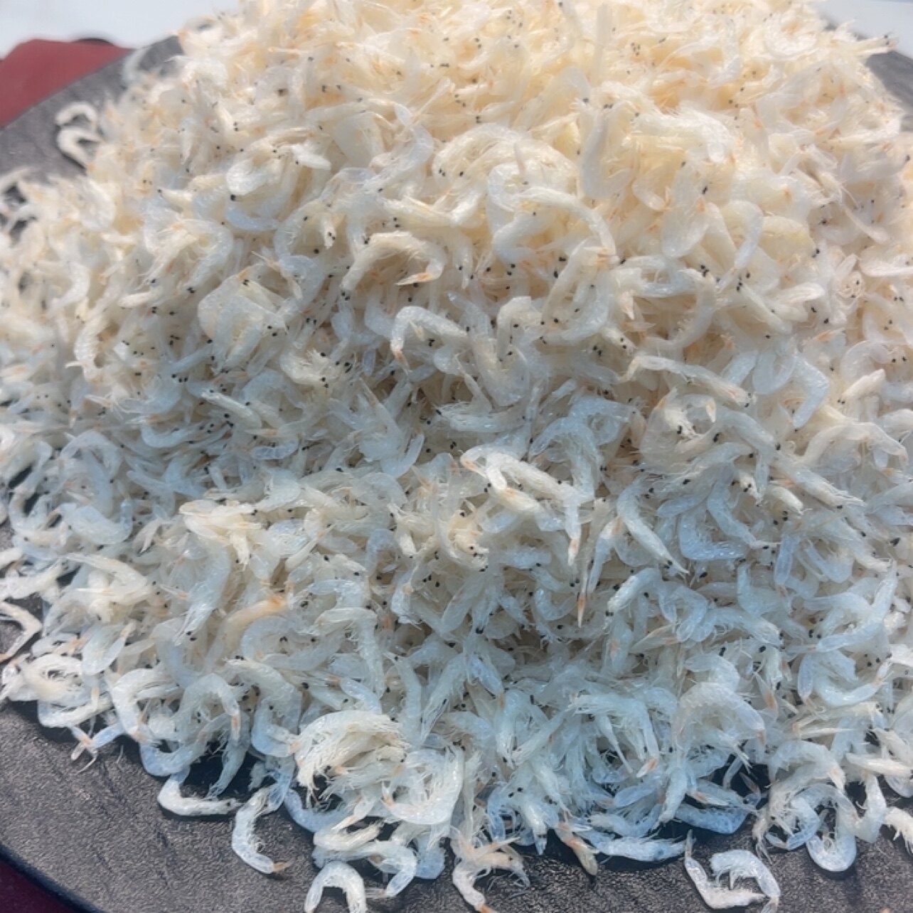 渤海湾 虾皮 嘎哈好图片