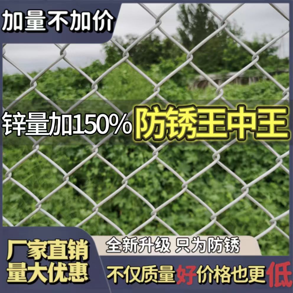 防锈镀锌铁丝网钢丝网户外围护栏网家用养殖牛羊拦鸡网菜园勾花网