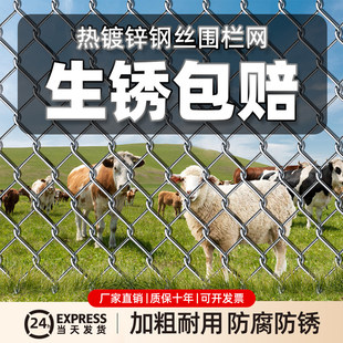 热镀锌铁丝网勾花网养鸡网荷兰鸡养殖网果园网格防护网院墙围栏网