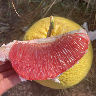 江西黎川胭脂柚红心柚当季新鲜上市水果包邮