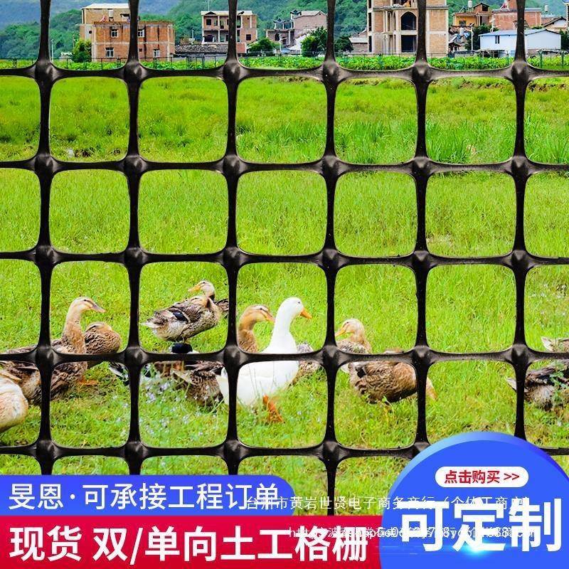 土工格栅单双向玻纤路基护坡钢塑路面防裂网养鸡围栏塑料网养殖网