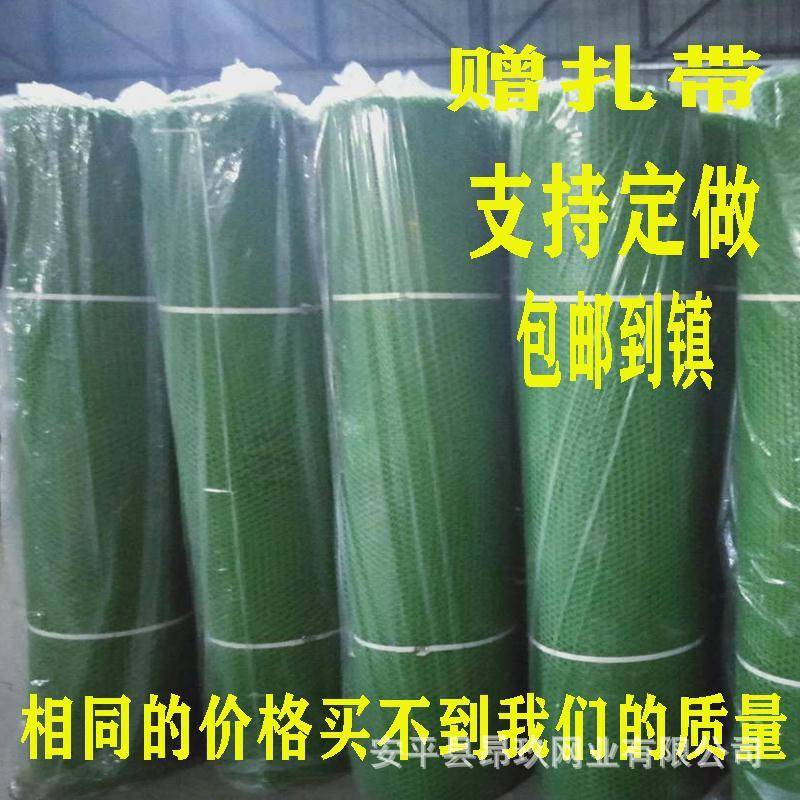 绿色塑料网鸡鸭鹅垫脚漏粪网育雏网宠物笼垫脚塑料网片加厚养殖网