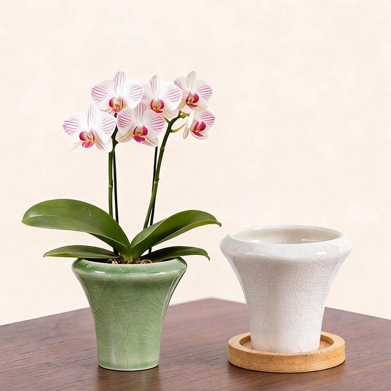 蝴蝶兰花盆陶瓷哥窑蝴蝶兰专用盆带托盘盆栽家用桌面有孔家居摆件,鲜花速递/花卉仿真/绿植园艺,花盆,淘宝优惠券,粉丝福利购,淘宝优惠卷