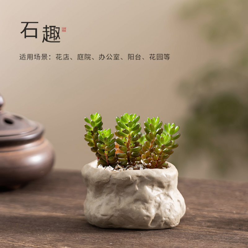 粗陶小号仿石盆栽陶瓷个性创新绿植多肉文竹花盆客厅阳台桌面摆件