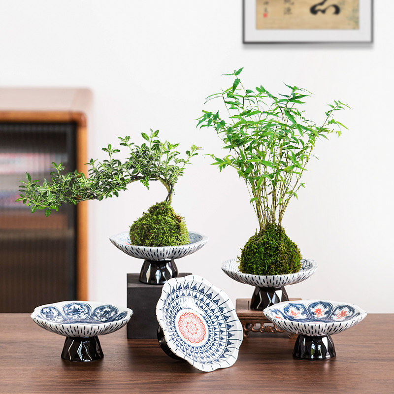 陶瓷花盆中式高脚盆创意国风六月雪米竹桌面装饰摆件蕨类苔藓球盆,鲜花速递/花卉仿真/绿植园艺,花盆,淘宝优惠券,粉丝福利购,淘宝优惠卷
