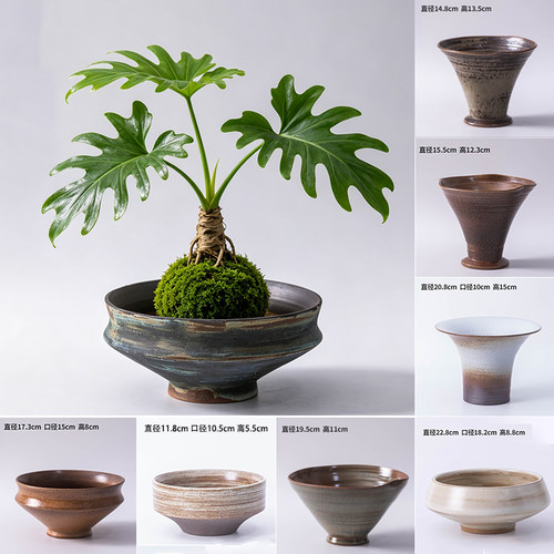 苔藓球花盆陶瓷花盆春羽绿植蕨类水培器皿盆中式复古家用桌面装饰