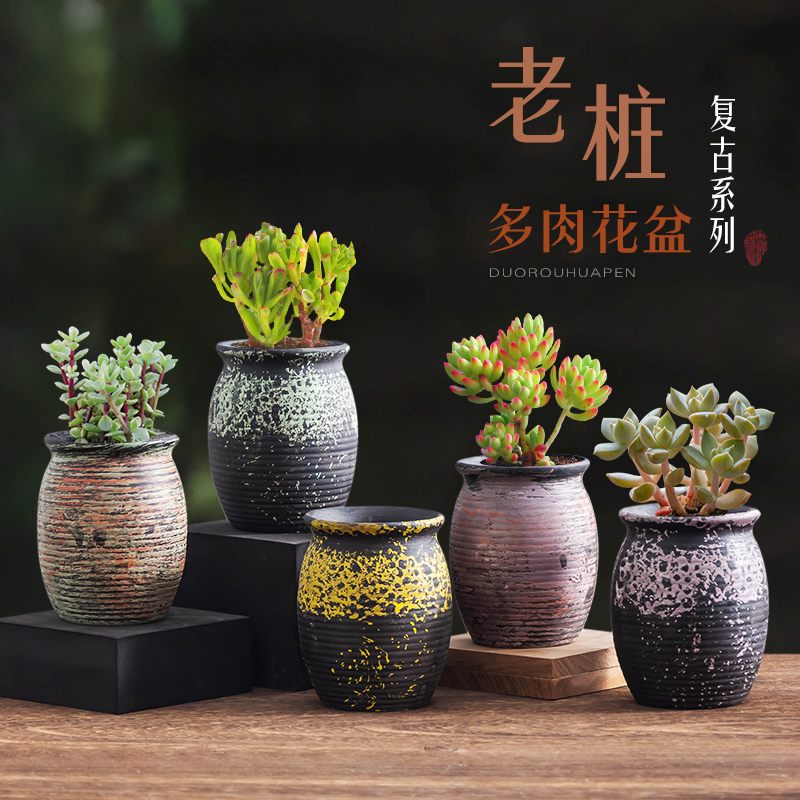 多肉花盆简约花盆陶瓷