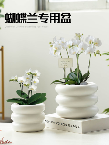 蝴蝶兰专用创意陶瓷家用桌面