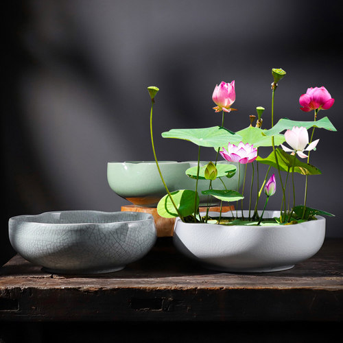 碗莲一叶铜钱草水培花盆陶瓷创意