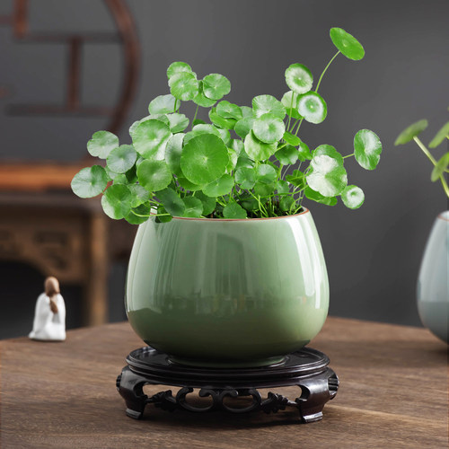哥窑铜钱草水培绿植水养缸带托