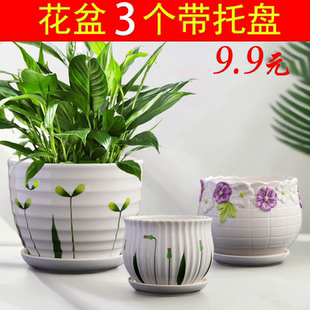 家用多肉老桩盆 花盆陶瓷带托盘一体清仓中号大号简约绿萝吊兰个性