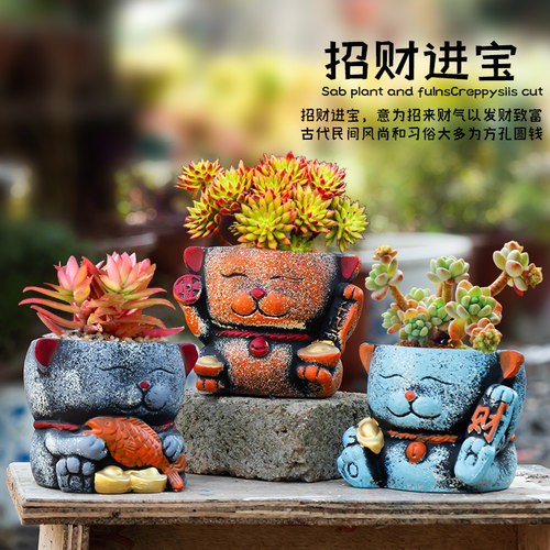 可爱多肉花盆招财摆件
