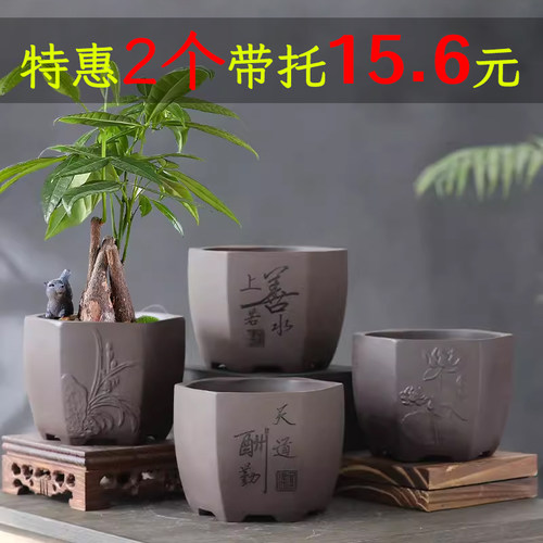 紫砂财树绿植盆栽六月雪老桩盆