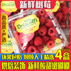 新鲜树莓4盒装红树莓覆盆子水果树莓果稀有热带水果树莓鲜果