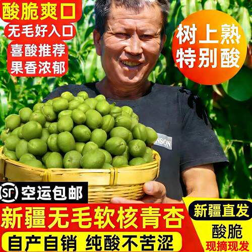 新疆超酸无毛青杏hora酸度新鲜酸