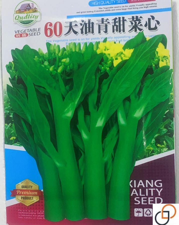 60天油青甜菜心种子阳台盆栽夏秋四季播种种籽菜心菜苔农家蔬菜孑