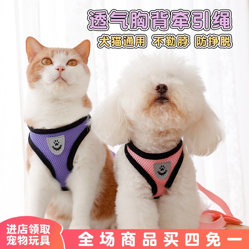 猫咪牵引绳防挣脱专用英短蓝猫银渐层胸背带透气外出背心式溜猫绳,宠物/宠物食品及用品,猫牵引绳,淘宝优惠券,粉丝福利购,淘宝优惠卷