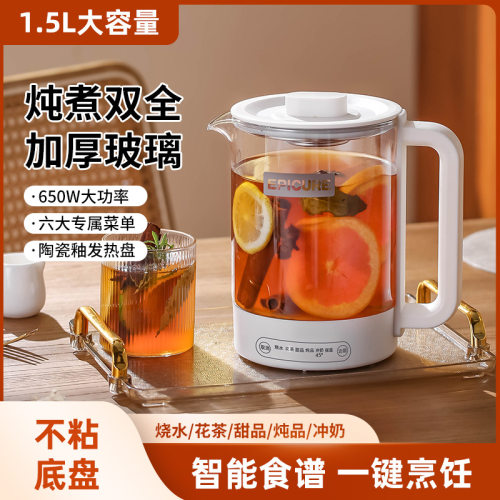 养生壶多功能家用煎药壶