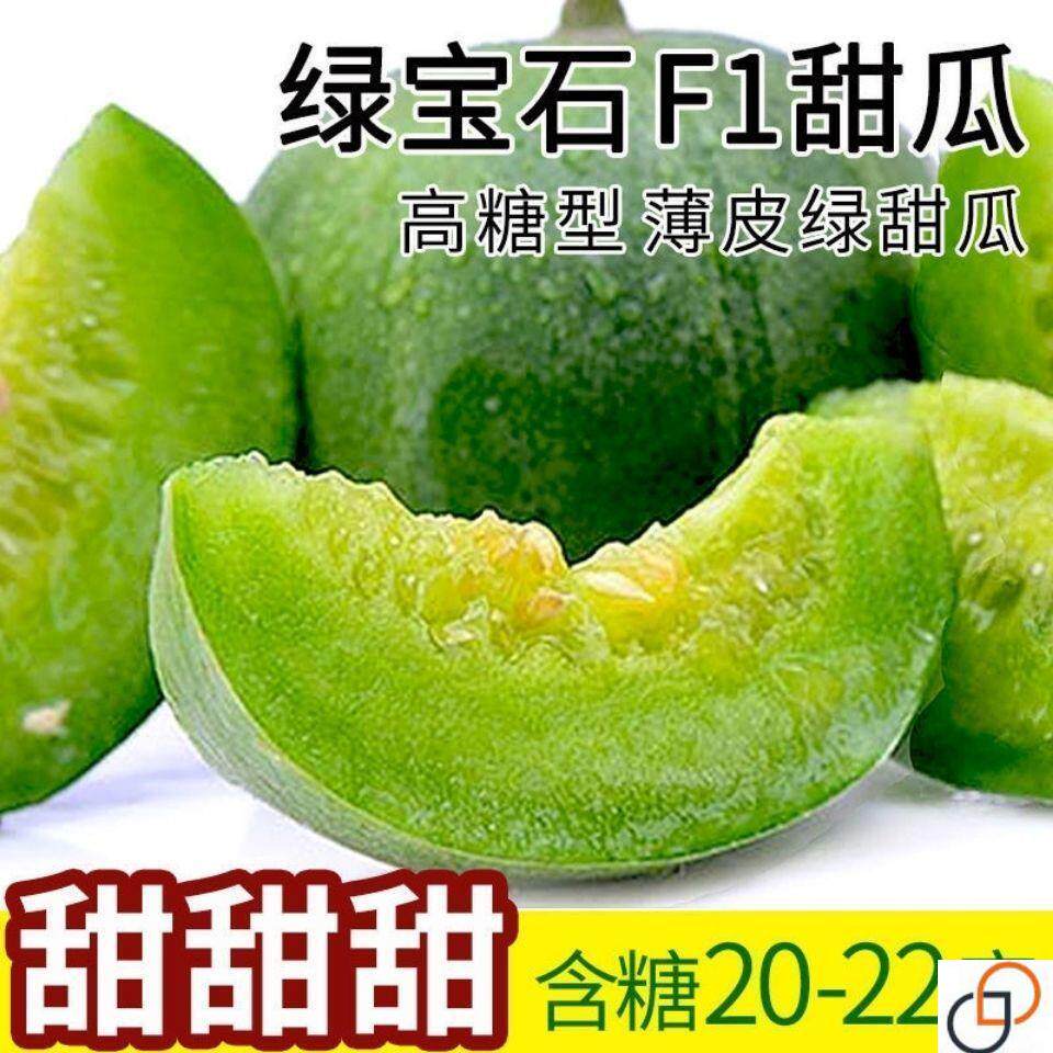 绿宝石甜瓜种子超甜薄皮早熟甜瓜家庭园艺种子