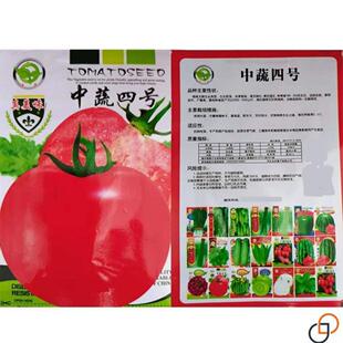 农家大粉番茄种子毛粉柿子种西红UPR柿四季蔬菜菜园阳盆栽台春秋