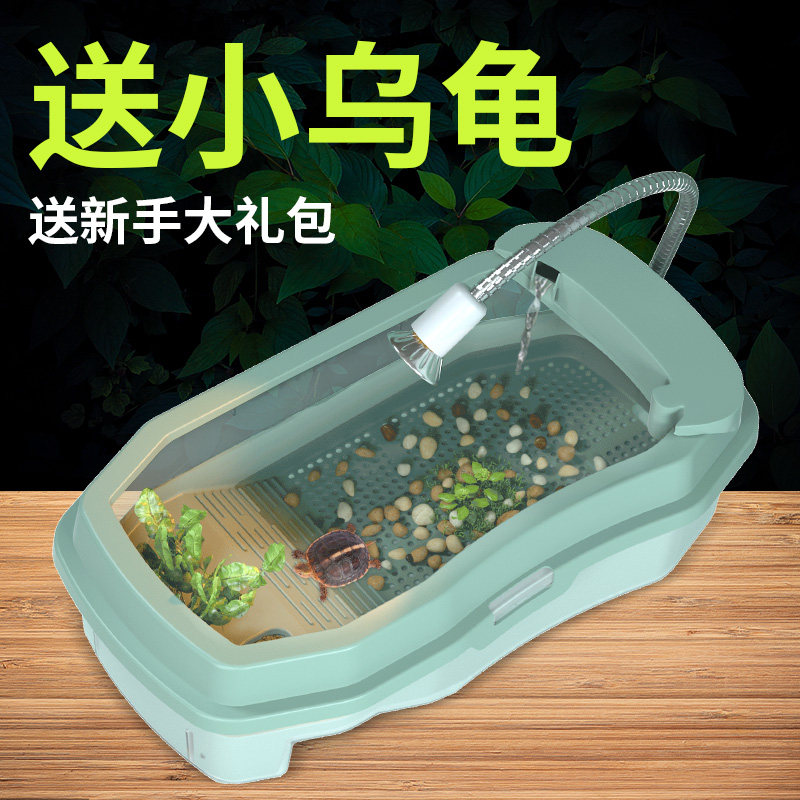 乌龟缸送2只小乌龟活体巴西龟物带晒台龟盆宠物盒儿童礼物|msdalam kategori haiwan peliharaan/makanan haiwan dan bekalan, Aquarium World, penyu/penyu - dari Buy2taobao.com untuk memberikan perkhidmatan ejen Taobao profesional membeli