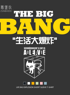 TBBT生活大爆炸美剧薛定谔的猫t恤周边谢耳朵sheldon同款宽松短袖