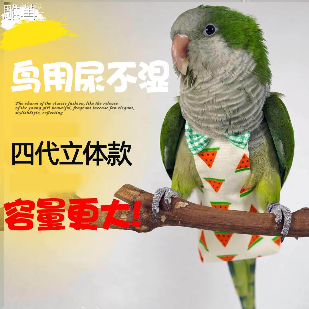 玄凤鹦鹉尿不湿纸尿裤牡丹鹦鹉飞行服鸟屎兜小鸟用衣服尿兜可爱