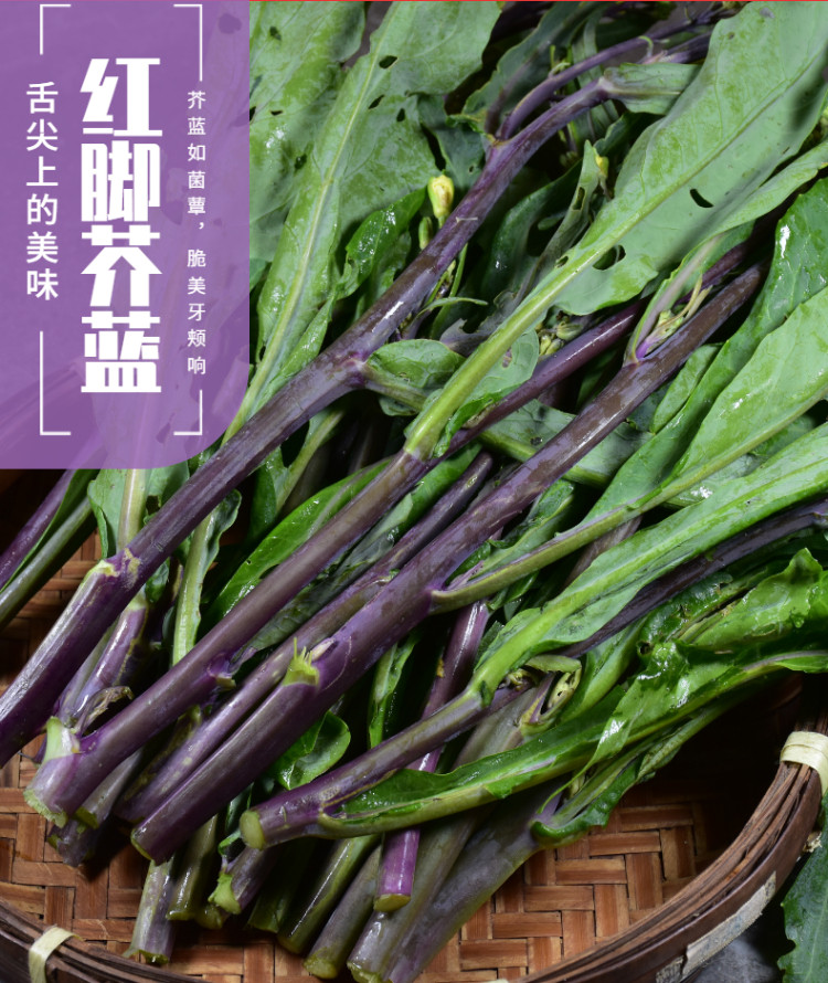 潮汕新鲜红脚芥兰菜揭阳棉湖农家特产蔬菜紫红梗芥兰炒饭芥兰牛肉
