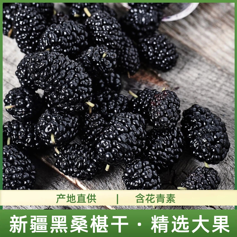 疆瀚新疆特产桑葚干500g头茬黑桑葚干头茬大果无沙枸杞泡水果干