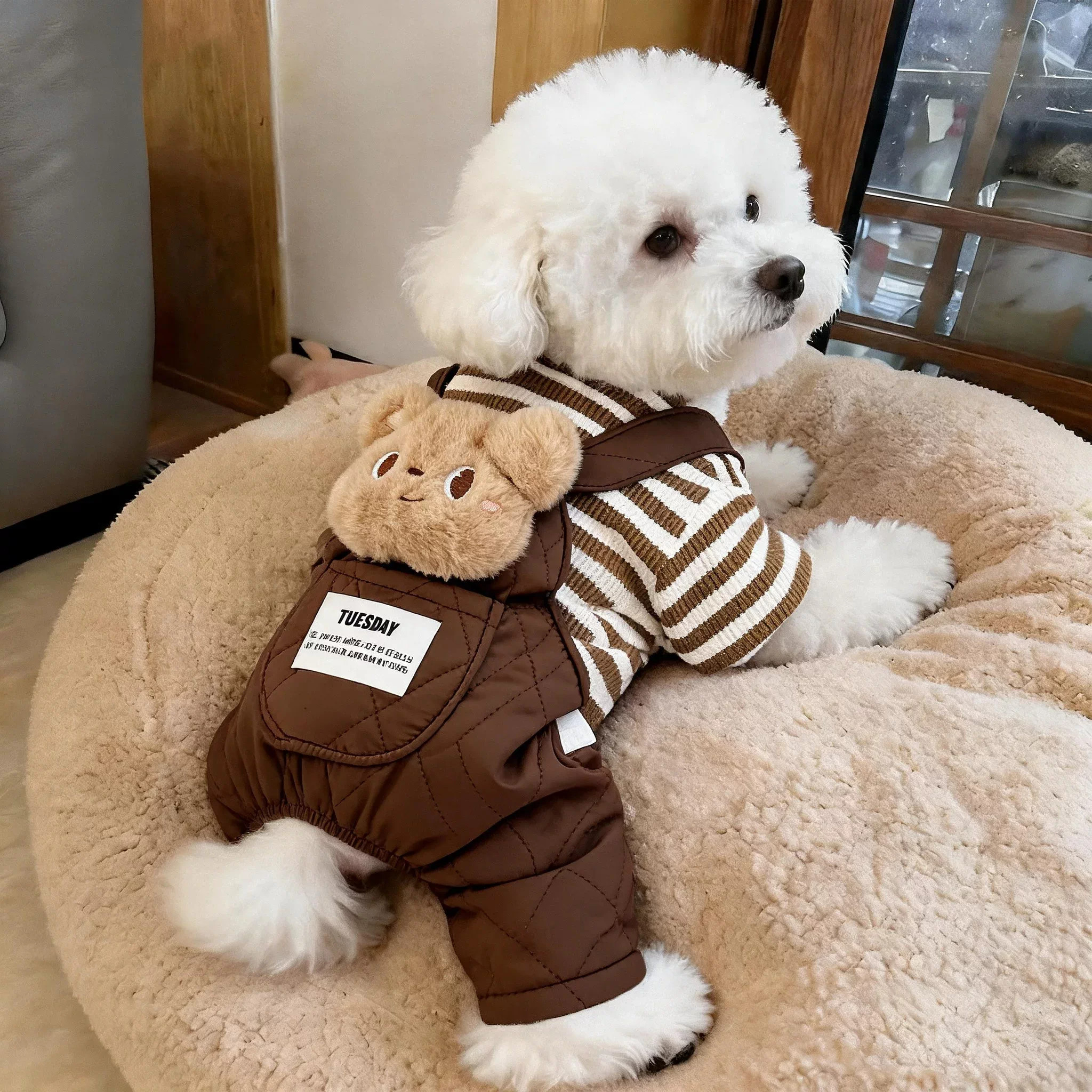 狗狗衣服秋冬加厚保暖棉服可牵引