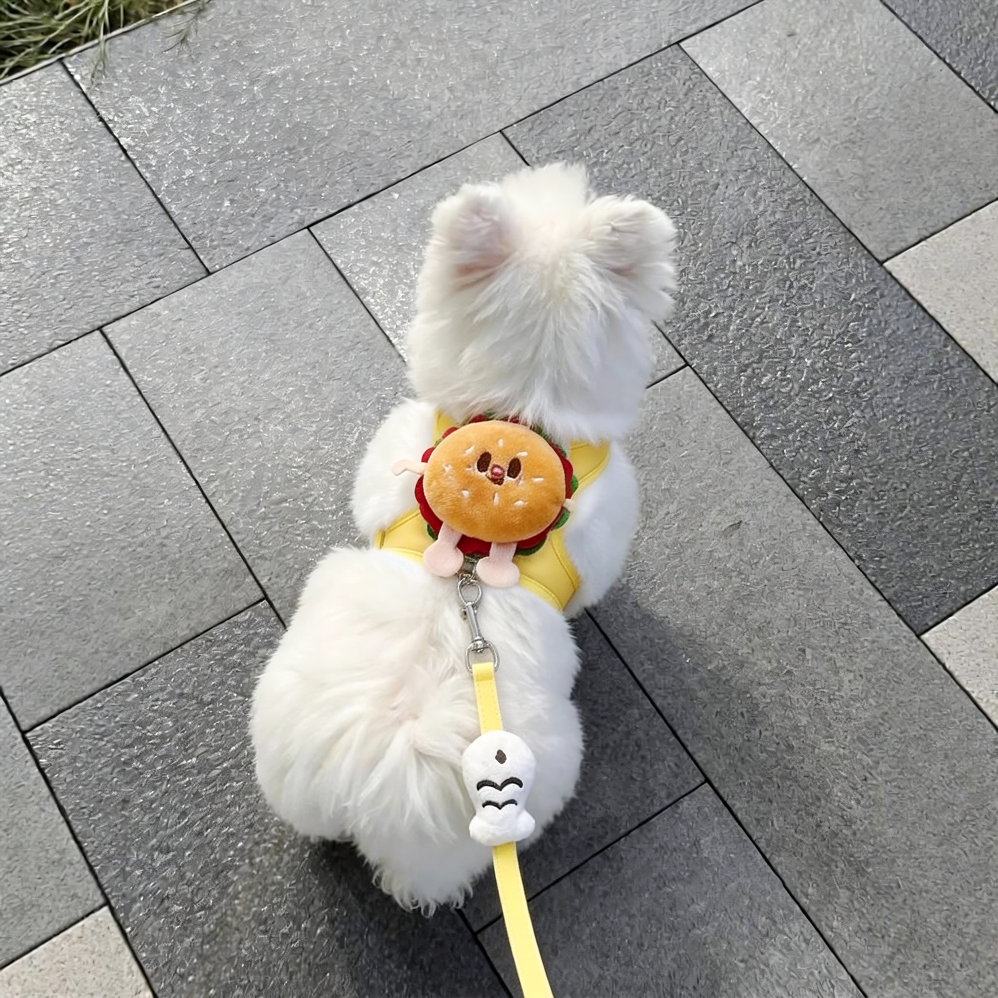 狗狗牵引绳可爱小汉堡胸背遛狗绳图片