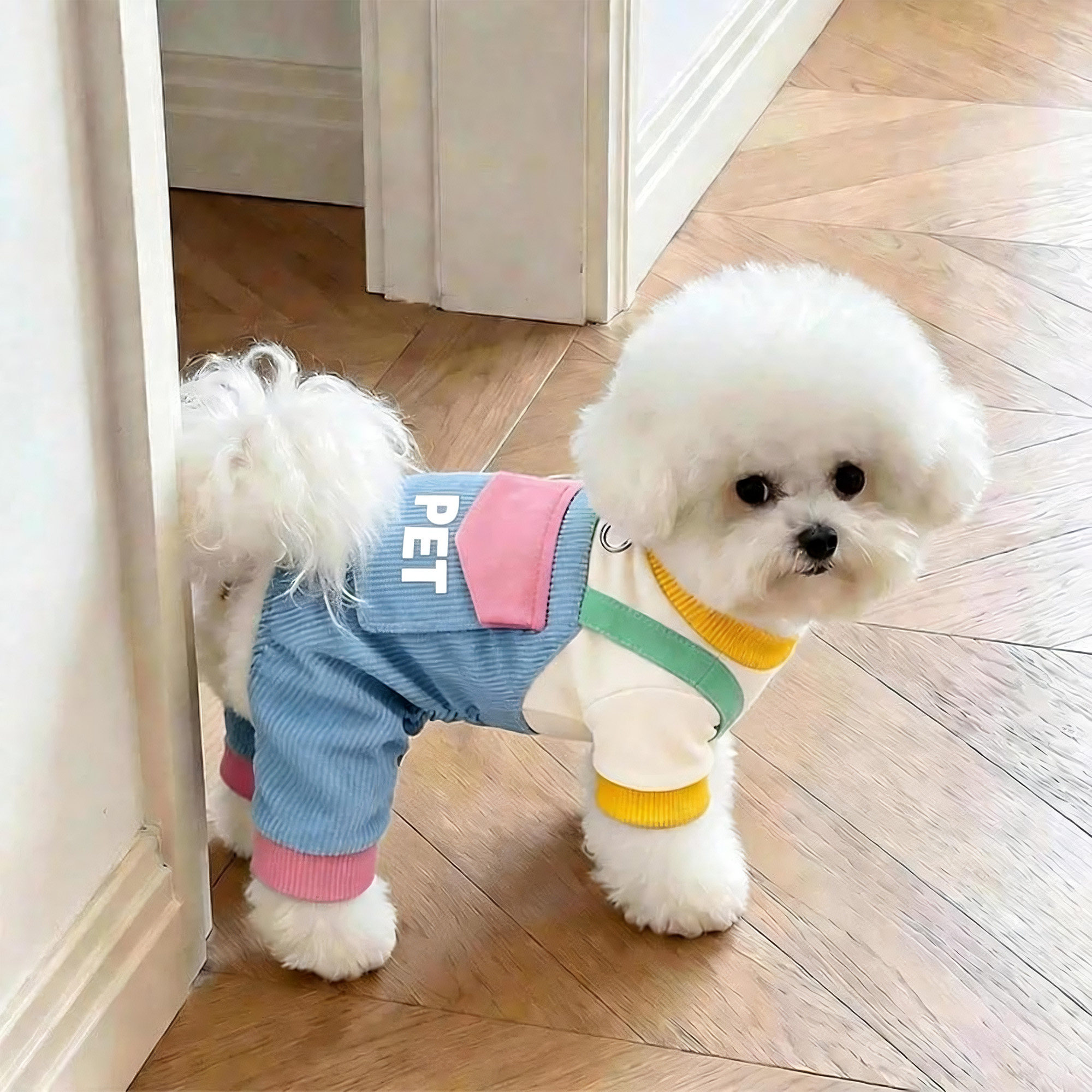 狗狗衣服秋冬保暖背带裤泰迪比熊雪纳瑞中小型犬宠物可牵引四脚衣