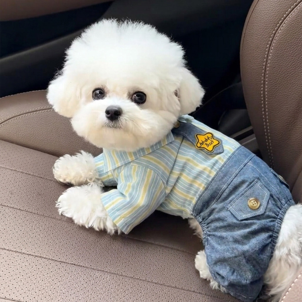 狗狗衣服薄款透气条纹牛仔四脚衣