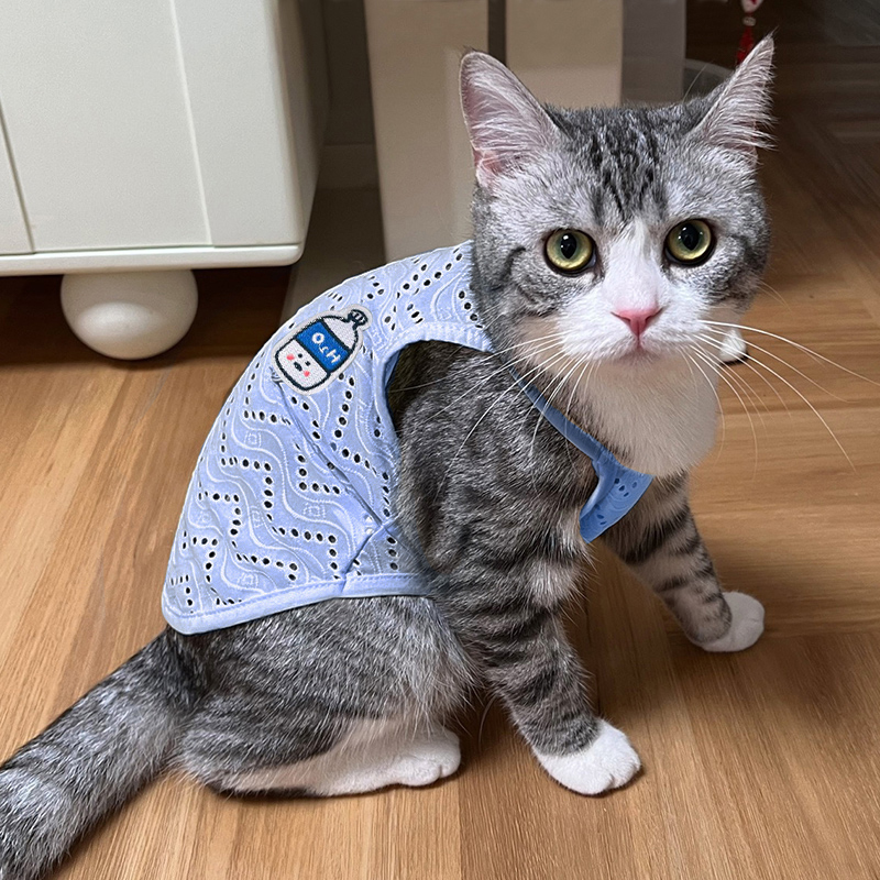 夏季猫咪衣服可爱镂空吊带防掉毛