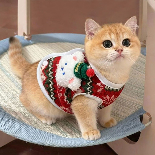 猫咪衣服圣诞小熊马甲加绒保暖