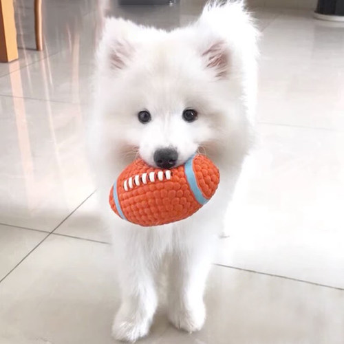 狗狗玩具发声球幼犬耐咬磨牙解闷