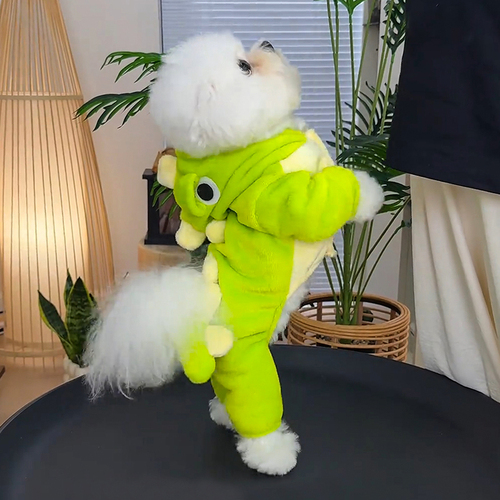 Dog clothes keep warm in winter, cute dinosaur transformation suit, teddy bear pet, traction four-legged clothes to prevent hair loss
