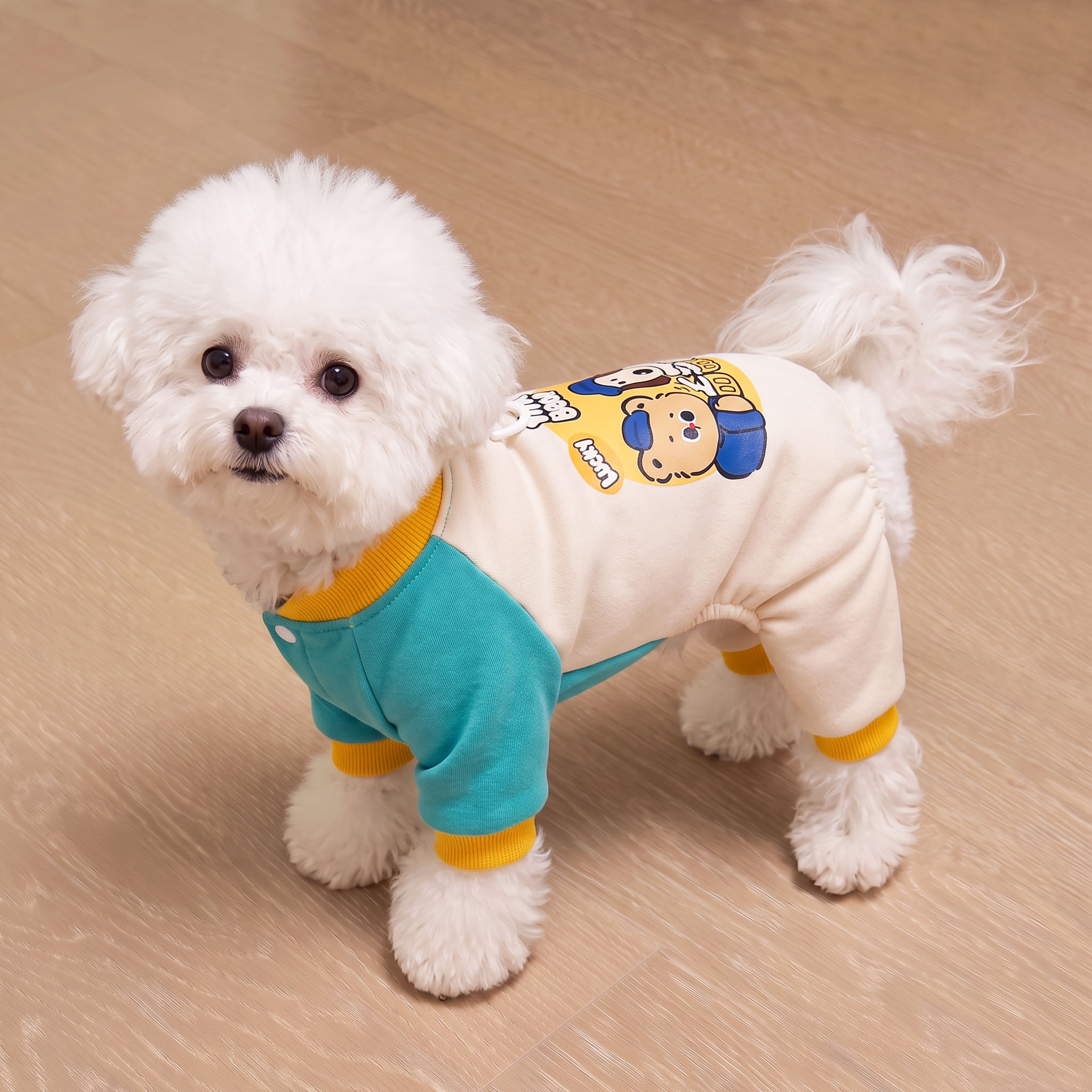 狗狗衣服秋冬薄款可牵引四脚背带裤小型犬泰迪比熊防掉毛宠物服装