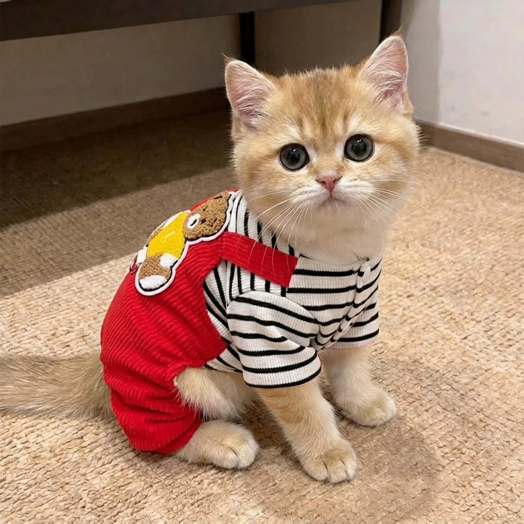 猫咪衣服条纹小熊四脚衣冬季保暖