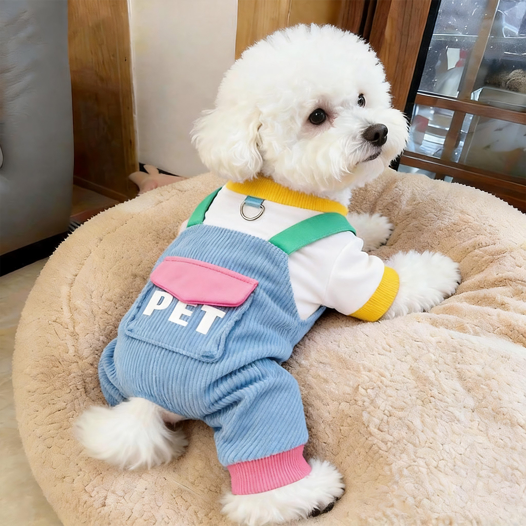 狗狗衣服春秋薄款背带裤防掉毛图片