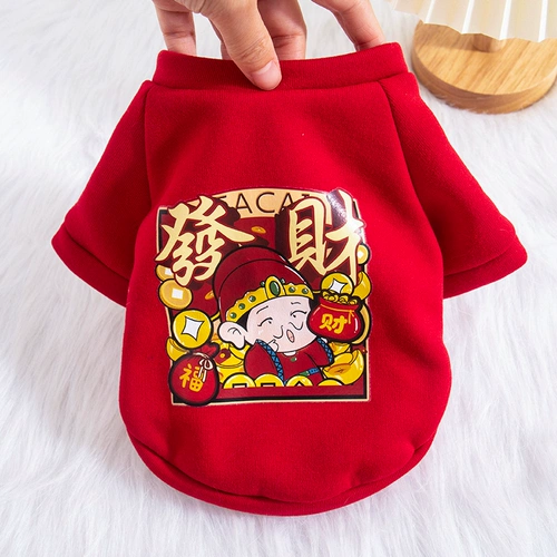 Кошачья одежда зима теплый котенок львиный официант