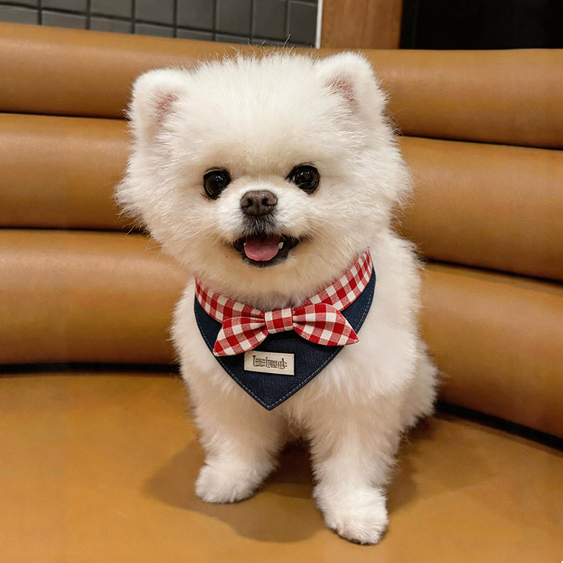 狗狗围脖可爱卡通高颜值宠物口水巾中小型犬围兜猫狗通用装饰领结