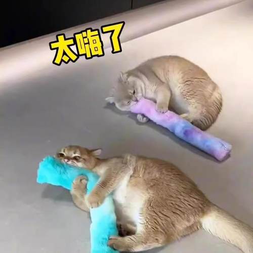 猫咪玩具自嗨解闷逗猫棒宠物抱枕