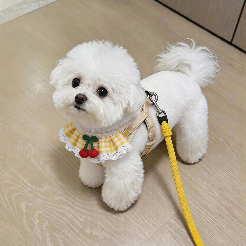 狗狗牵引绳防挣脱可爱围脖胸背带图片