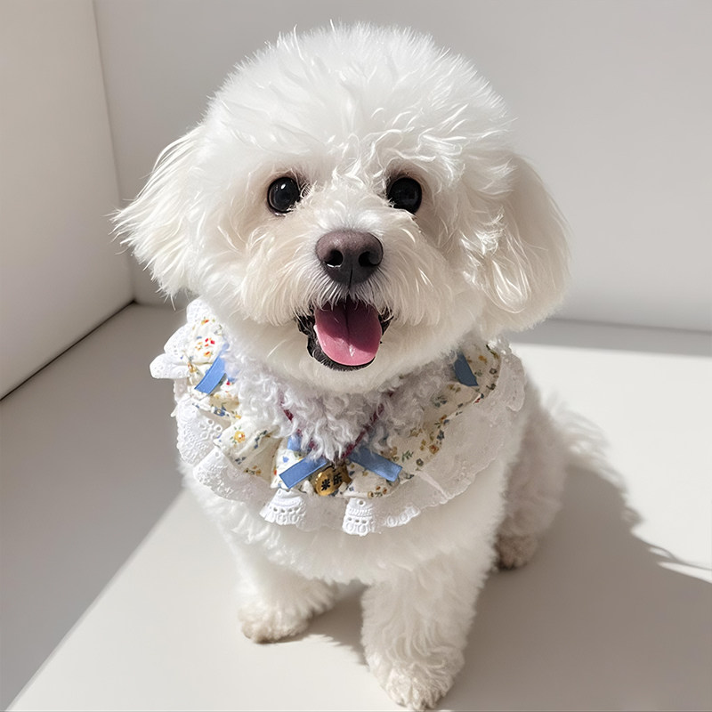 狗狗口水巾碎花蝴蝶结蕾丝边围兜